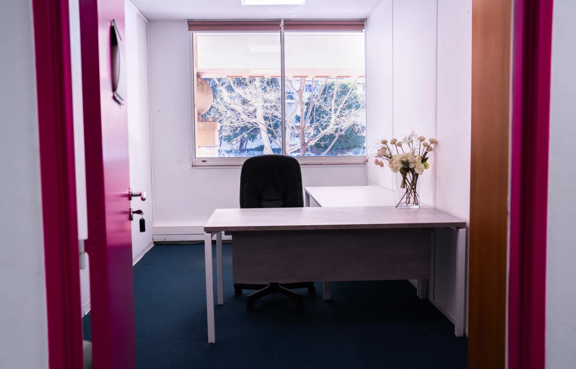 Comment obtenir une adresse professionnelle sans louer un bureau ?